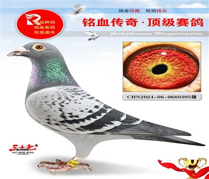 布克斯2号·神州辉煌70名