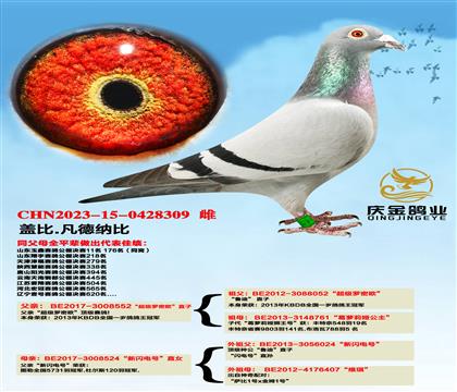 盖比.凡德纳比“超级罗密欧”直子x“新闪电号”直女