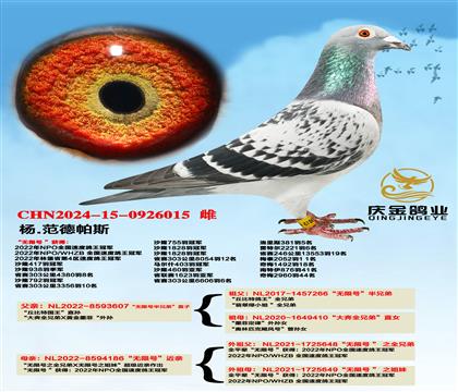 杨.范德帕斯“无限号”半兄弟直子x“无限号”近亲