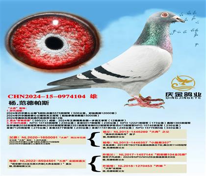 杨.范德帕斯“大奔”同父半兄弟x“大奔”全姐妹直女