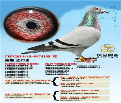威廉.迪布恩“奥林匹克”飓风号直孙x“墨菲定律”半妹