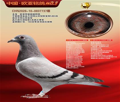 杨.欧瓦克原舍484直子213X“掠奇者”027