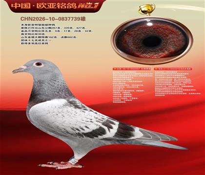 红盖比557X387