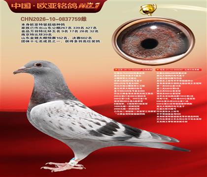 红盖比557X387