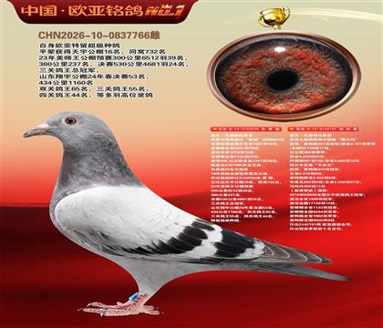 盖比原舍鲁迪直子030X“薇尔玛”新弗雷迪191