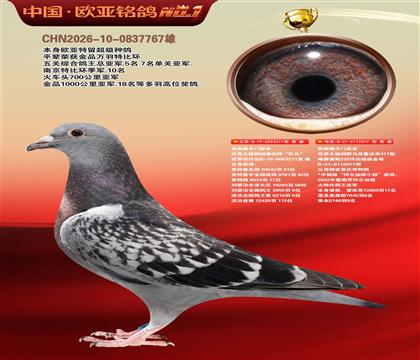 乔斯佛卡门原舍211X077