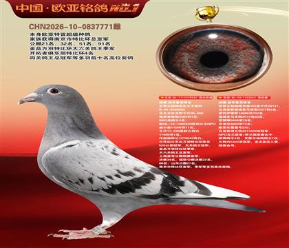 威廉.迪布鲁恩原舍哈利542X523