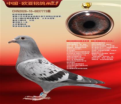 利奥原舍851X003