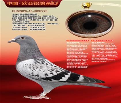 盖比原舍鲁迪直子129X闪电号165