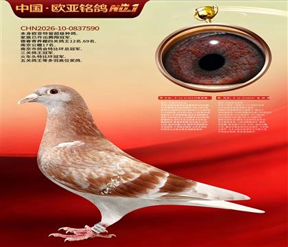 迪克.凡登布克原舍440X237