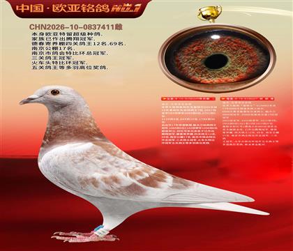 迪克.凡登布克440X基特尔237黄金配对
