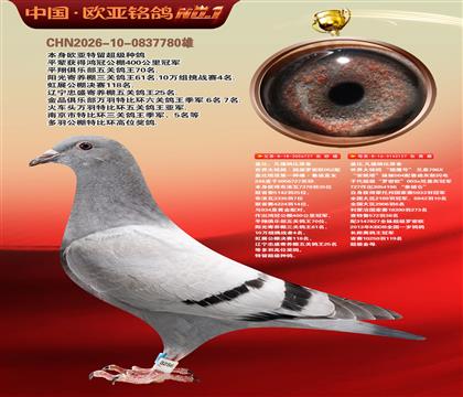 盖比原舍超级罗密欧直子727X猎鹰号127