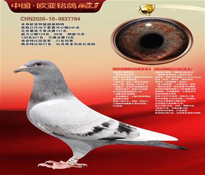 利奥原舍“欧元全兄弟”075X“头名状元”888