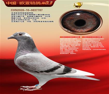 电脑戈马利777X625