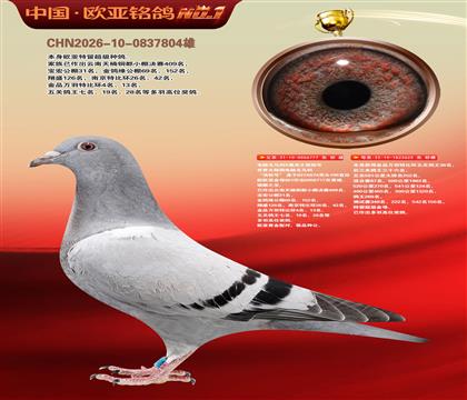 电脑戈马利777X625