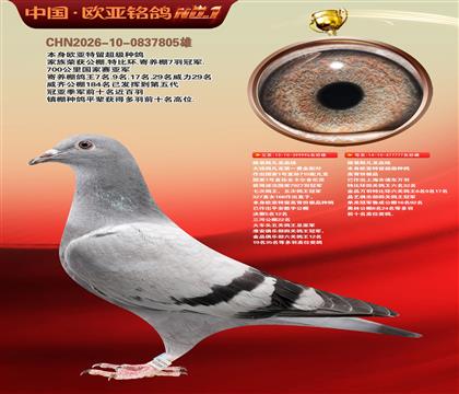 路易斯凡龙血统996X777同父异母近亲