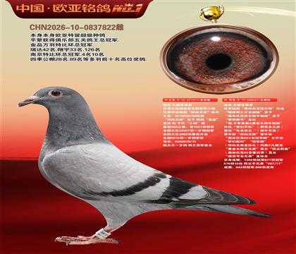 迪克.凡戴克原舍111X611奥林匹克尼尔斯