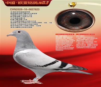 盖比原舍罗密欧直子727X罗密欧直孙女165