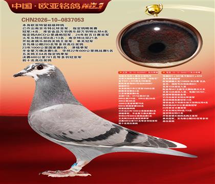 电脑097国家赛1500公里4名X桑杰士777