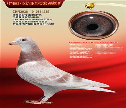 詹森131直子349X泰山号311黄金配对