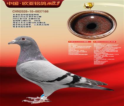 盖比原舍鲁迪直子151X鲁迪直女188近亲