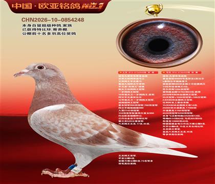 迪克凡登布克原舍440X黄金黑欧40000号