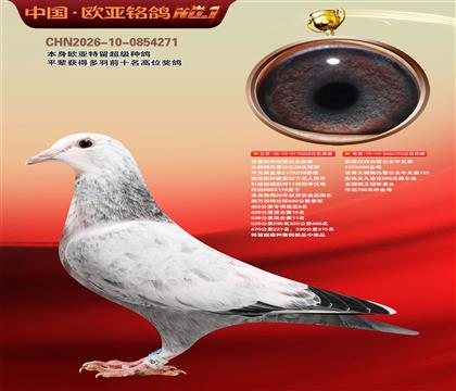 乔思托内白雪公主058X796