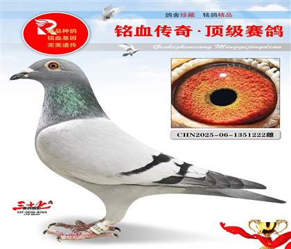 考夫曼金雄·玛努全平辈