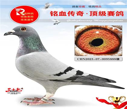 墨菲定律直孙·外孙女