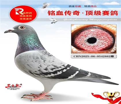 最好的布克斯、必发挥