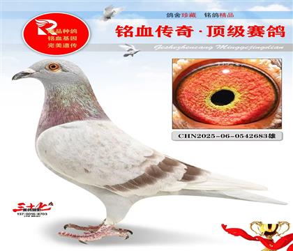 登瀛鸽舍、帽子戏法、极品