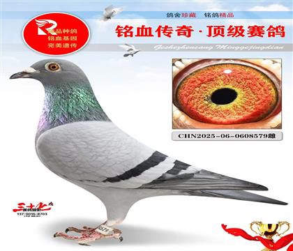 考夫曼金雄·玛努全平辈