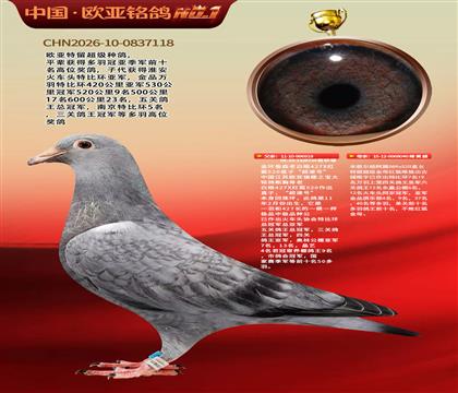 詹森427X520直子919超速号X米歇尔杨阿腾040