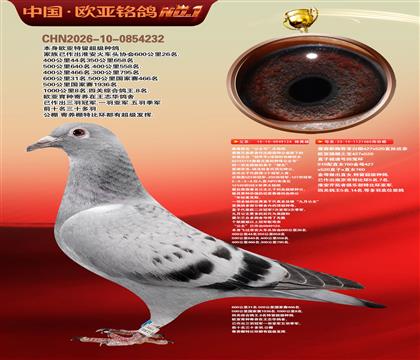 詹森公主号四冠鸽王八名124X919直女080
