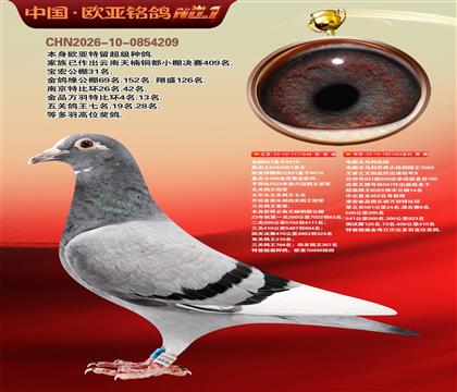 电脑桑杰士048X电脑戈马利453