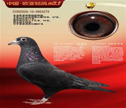 乔斯桑杰士黑色快车797X539