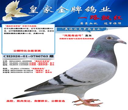 涡轮763