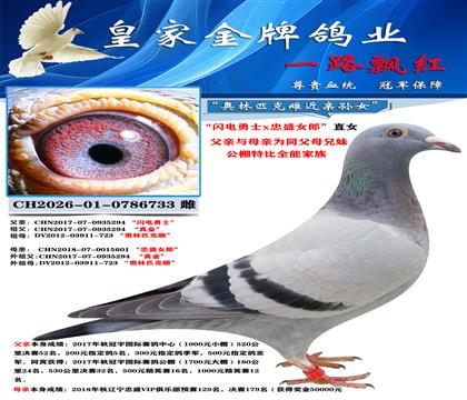 桑杰士733