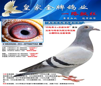 桑杰士732