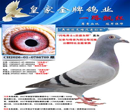 桑杰士709
