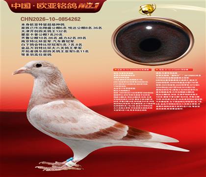 迪克凡登布克原舍387X401基特尔