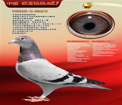 电脑041X桑杰士006