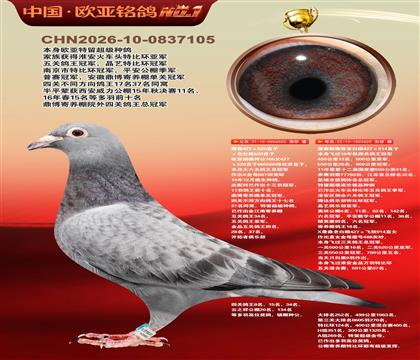 詹森超级配对555X詹森914直孙女625