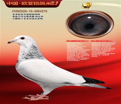乔思托内白雪公主原舍935X333