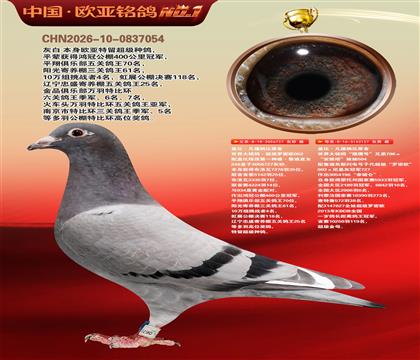 盖比原舍超级罗密欧直子727X猎鹰号127