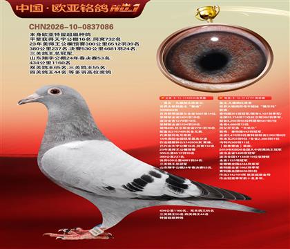 盖比原舍鲁迪直子030X“薇尔玛”新弗雷迪191