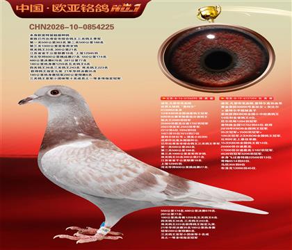 迪克.凡登布克血统基特尔295X基特尔直孙394