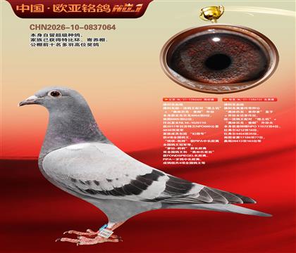 佛科克推土机外孙666×佛科克幸存者外孙女732