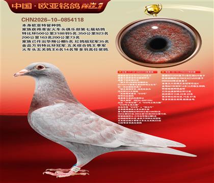 詹森原舍公主号131X130直子X222超级金母