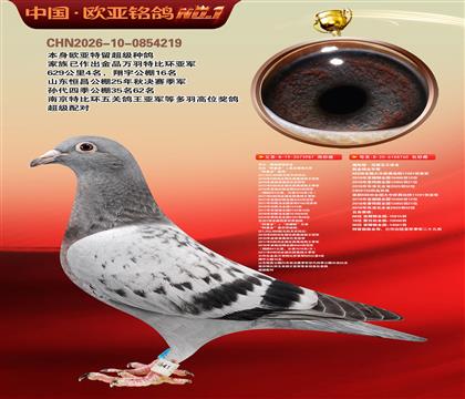乔尔佛斯豪特原舍987X葛斯顿原舍760